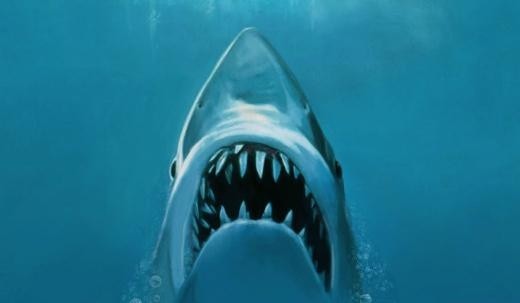 Ne oldu?

Oysa Jaws serisi için bugüne dek 4 film çekildi.