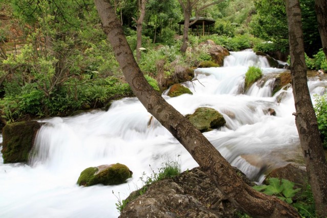 Gümüşhane Doğa Koruma ve Milli Parklar Şube Müdürü Emel Mazlum, Tomara Şelalesi'nin, Orman ve Su İşleri Bakanlığı Doğa Koruma ve Milli Parklar Genel Müdürlüğü bünyesinde koruma alanı olduğunu belirterek, 