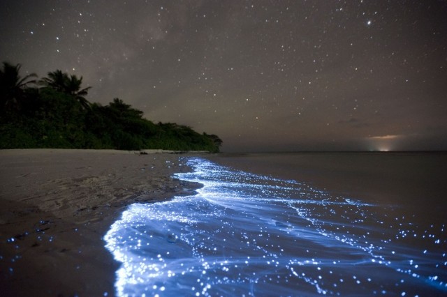 Yıldızlar Denizi, Vaadhoo Adası, Maldivler