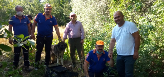Amasya'da kuyuya düşen köpeği AFAD ekipleri kurtardı