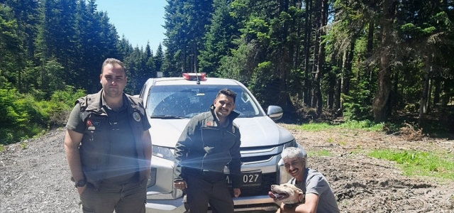 Bolu'da ormanda kaybolan köpek 11 gün sonra bulundu