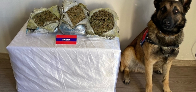 Bolu'da valizlerinde uyuşturucu ele geçirilen 2 zanlı tutuklandı