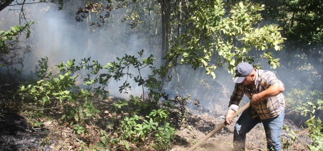 Düzce'de 15 dönüm fındık bahçesi ile 10 dönüm ormanlık alan yandı