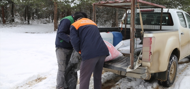 Erbaa Belediyesi yaban hayvanları için doğaya yem bıraktı