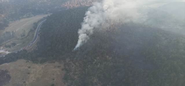 Eskişehir'deki orman yangınına havadan müdahale yeniden başladı