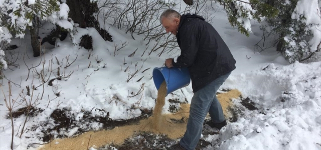 Giresun'da kar yağışının etkili olduğu bölgelere yaban hayvanları için yem bırakıldı