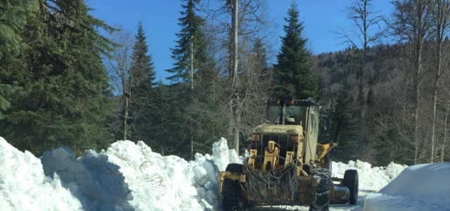 Kastamonu'da kar nedeniyle kapanan 30 köy yolu açıldı