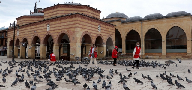 Kastamonu'da Türk Kızılay gönüllüleri kuş ve sokak hayvanlarını besledi