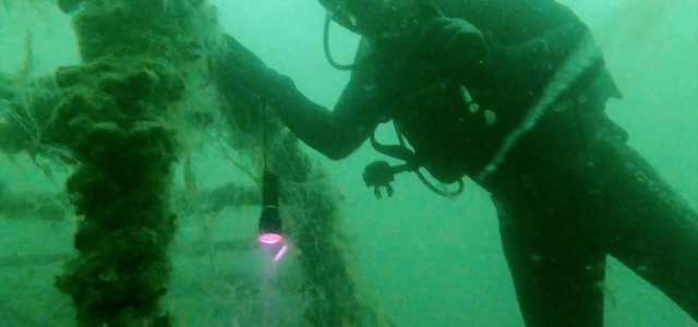 Kocaeli'de su altındaki "emektar vapur" müsilajla kaplandı
