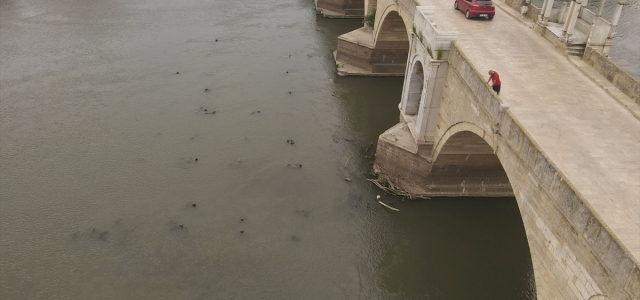 Kuraklık nedeniyle su seviyesi azalan Meriç Nehri'nde tarihi köprünün ayakları ortaya çıktı