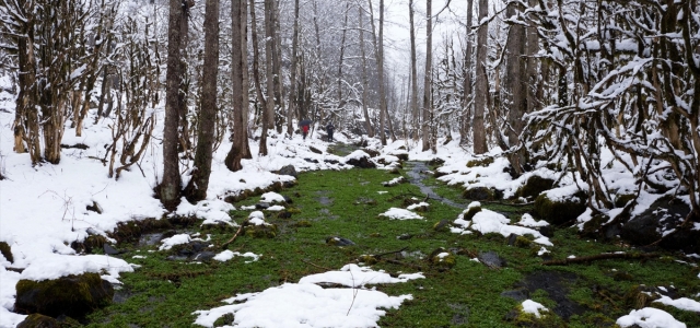 Rize ve Giresun'da kar dolayısıyla 41 köy yolu ulaşıma kapandı