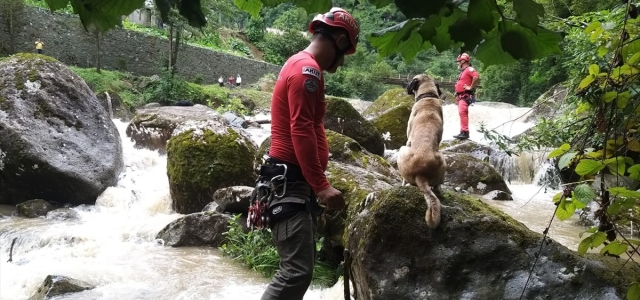 Rize'de taşan derede mahsur kalan köpek AKUT ekiplerince kurtarıldı