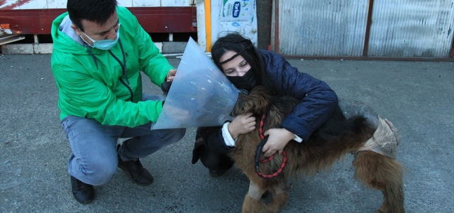 Samsun'da dükkanının önünde baktığı köpeğini ayağı kesik vaziyette bulan esnaf şikayetçi oldu