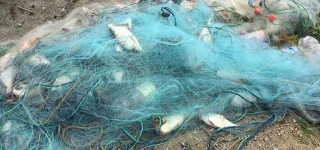 Samsun'da kaçak balık avlayan 15 kişiye para cezası