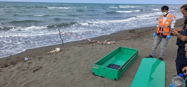 Samsun'da sahile iskelet vurdu