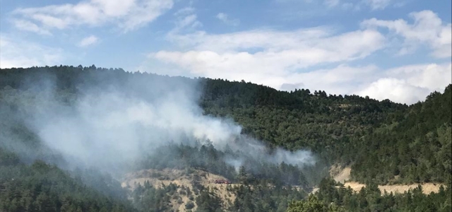 Sinop'ta orman yangınında 30 hektarlık alan zarar gördü