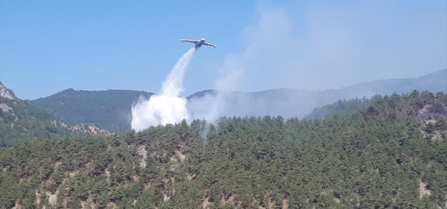 Sinop'taki orman yangını kontrol altına alındı