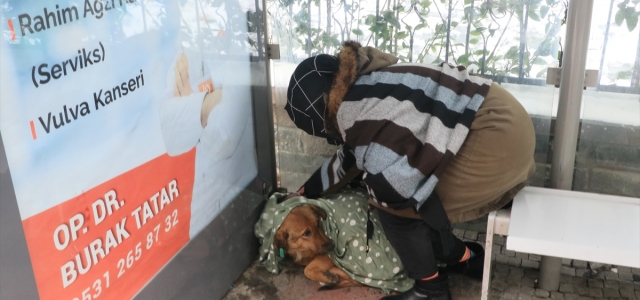 Soğukta otobüs durağına sığınan köpeğe vatandaşlar sahip çıktı