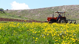 Bayburt'ta 35 yıllık atıl topraklar yeniden tohumla buluşturulacak