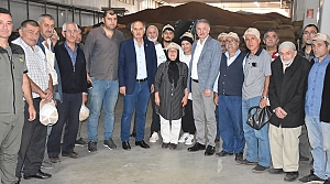 TMO Genel Müdürü Güldal, Giresun'da fındık alım merkezlerini ziyaret etti: