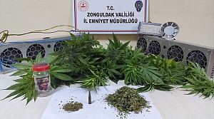 Zonguldak'ta uyuşturucu operasyonlarında 16 şüpheli yakalandı
