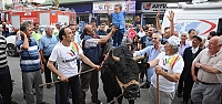 Artvin sokakları İspanya'yı aratmadı
