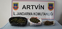 Artvin'de uyuşturucu operasyonu