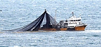 Balıkçı teknesi kendi ağına dolandı