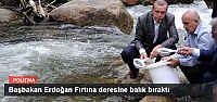 Başbakan Erdoğan Fırtına deresine balık bıraktı