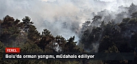 Bolu'da orman yangını, müdahale ediliyor