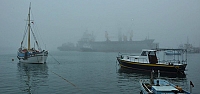 Karadeniz'de ulaşıma sis engeli