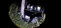 Mudurnu'da ağaca çarpan otomobilin sürücüsü yaralandı