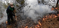 Mudurnu'da orman yangını