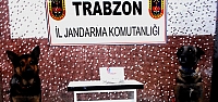 Trabzon'daki uyuşturucu operasyonları