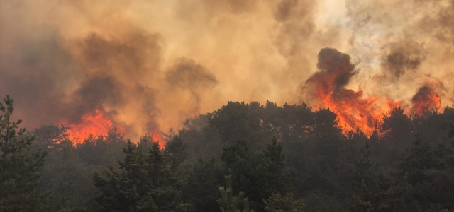 Tokat ve Kastamonu'da orman yangını çıktı