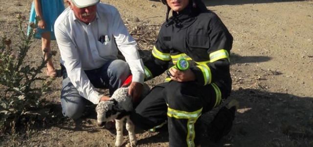 Tokat'ta kuyuya düşen kuzuyu itfaiye ekipleri kurtardı
