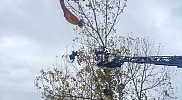 Samsun'da ağaç dallarına takılan paraşütçü kurtarıldı