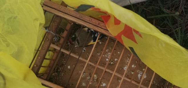 Zonguldak'ta saka kuşlarını yakalayan avcılara 3 bin 300 lira ceza