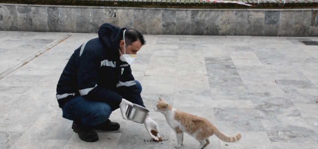Zonguldak'ta sokak hayvanları aç kalmayacak