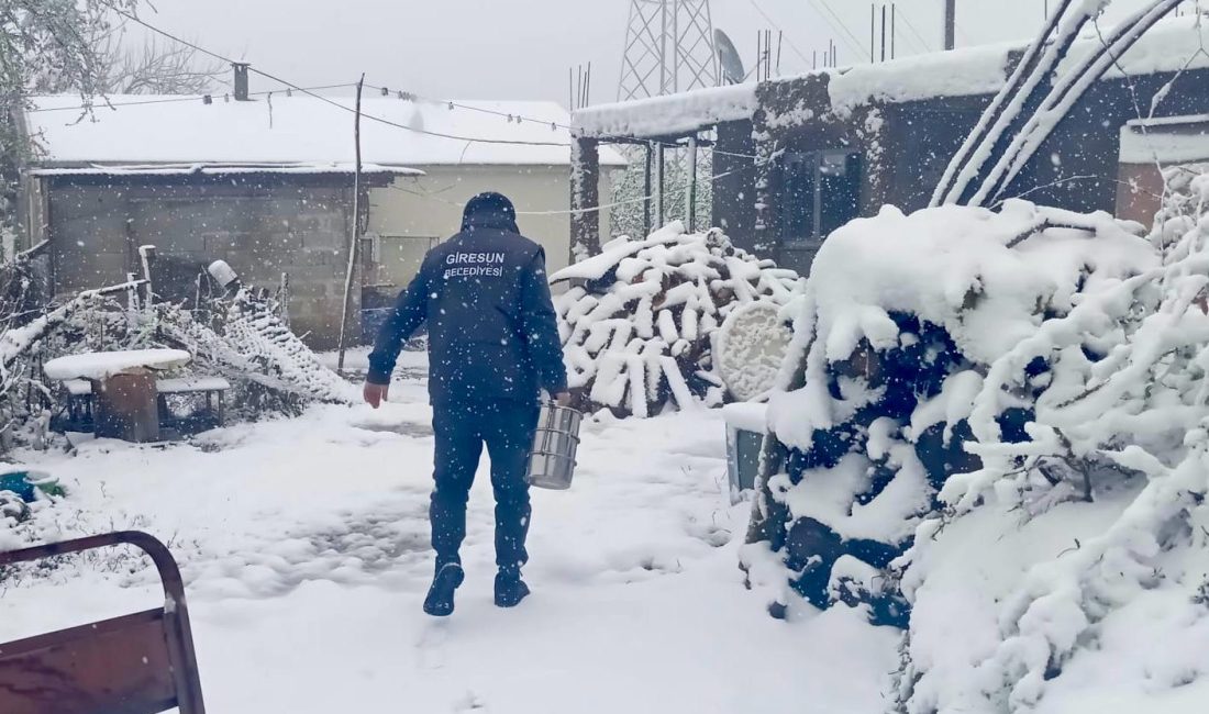 Her zaman ihtiyaç sahiplerinin yanında olan Giresun Belediyesi sosyal yardımlar