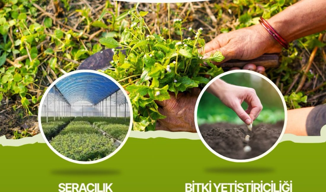 Düzce Belediyesi Meslek Edindirme Kursları (BELMEK) el sanatları alanında yeni