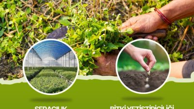 Düzce Belediyesi Meslek Edindirme Kursları (BELMEK) el sanatları alanında yeni