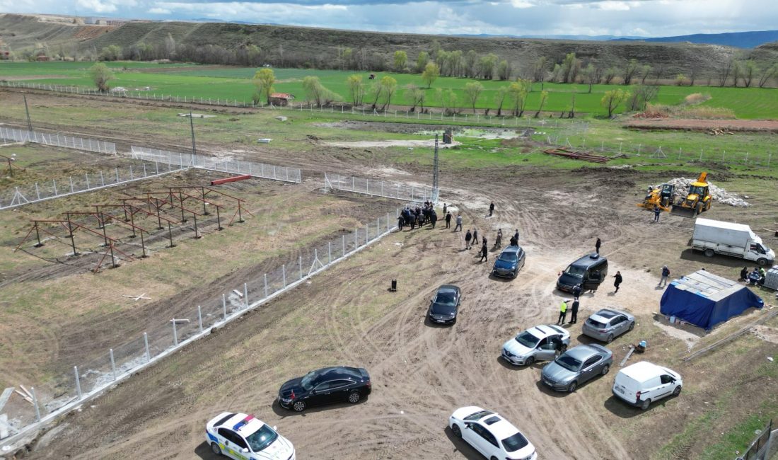 İçişleri Bakan Yardımcısı Münir Karaloğlu, sokak hayvanları konusunda yürütülen başarılı