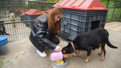 Giresun Üniversitesi Keşap Turizm Fakültesi öğrencilerinin sosyal sorumluluk projeleri kapsamında