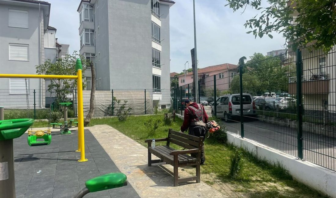 Bartın Belediyesi Park ve Bahçeler Müdürlüğü ekipleri mahalle parklarında çalışmalarına