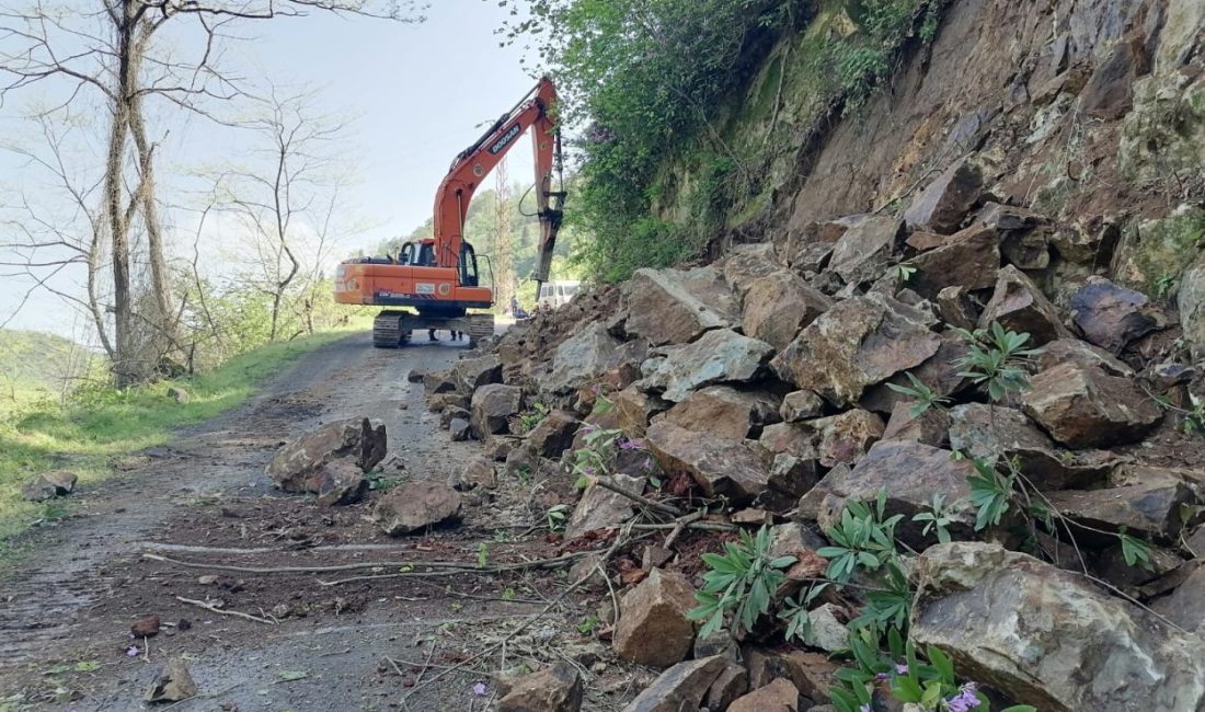 Ordu Büyükşehir Belediyesi ekipleri, Kabadüz Yeşilada Mahallesinde 3 km’lik yolda