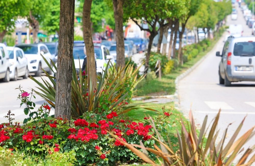 Safranbolu Belediyesi Yazıköy Uygulama ve Üretim Birimi tarafından, 2025 yılı