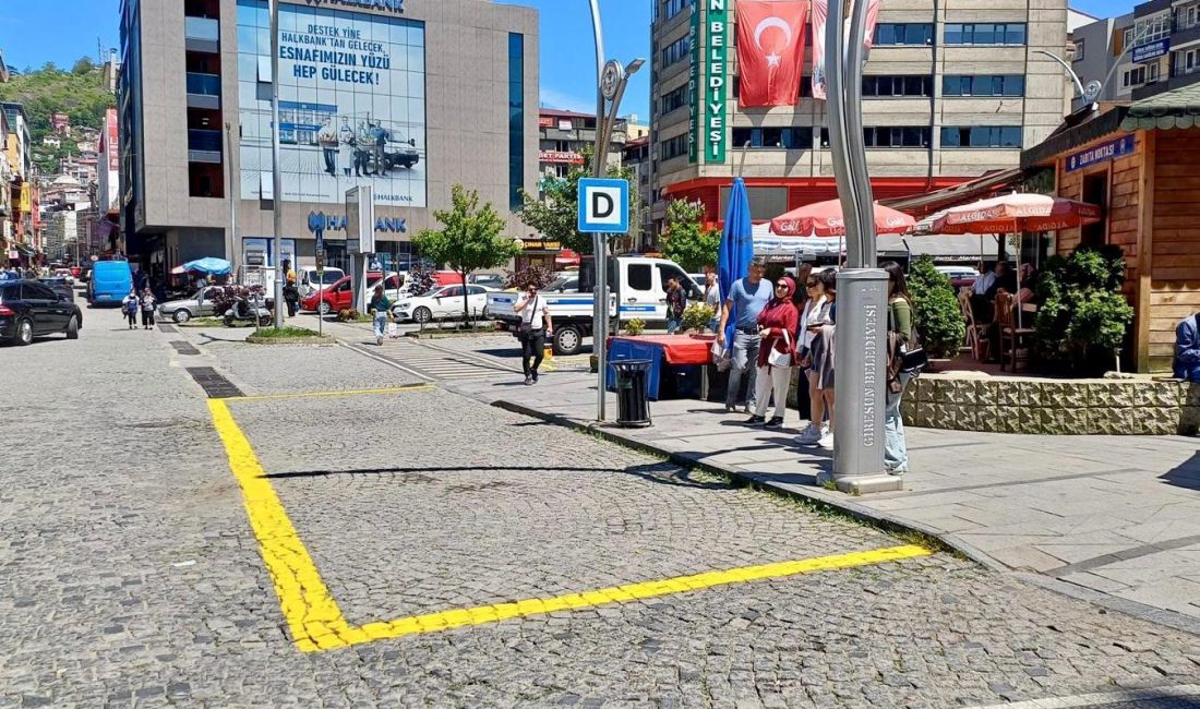 Giresun Belediyesi Zabıta Müdürlüğü Trafik Birimi ekipleri, şehir genelinde toplu