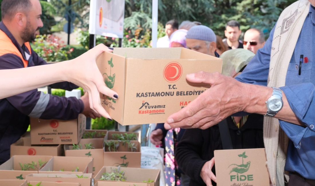 Kastamonu Belediyesi’ne ait seralarda, atalık tohumlardan yetiştirilen 50 bin adet