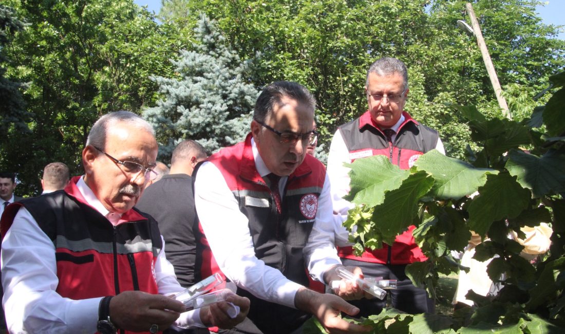 Tarım ve Orman Bakan Yardımcısı Prof. Dr. Ahmet Gümen, Ordu